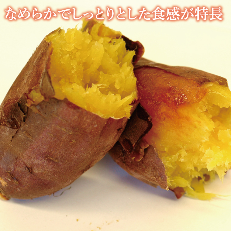 【2026年2月より順次発送】【行方かんしょ】『天皇杯受賞』JA「紅まさり」さつまいも 約10kg｜さつまいも サツマイモ さつま芋 お芋 紅まさり 行方かんしょ 先行予約 茨城県 行方市(AE-99)