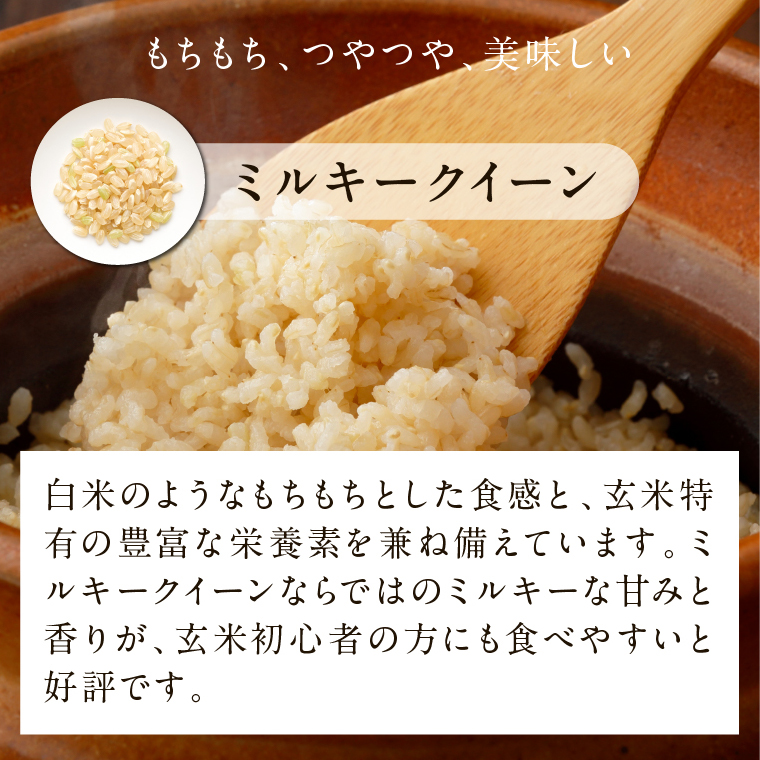 【2025年11月下旬より順次発送】★最短3営業日で発送★ミルキークイーン パックごはん 玄米 18食入り 甘み豊かもちぷち｜米 お米 こめ パックごはん パックご飯 ミルキークイーン 玄米 ごはん 安心 国産 スピード発送 茨城県 行方市(HE-3)
