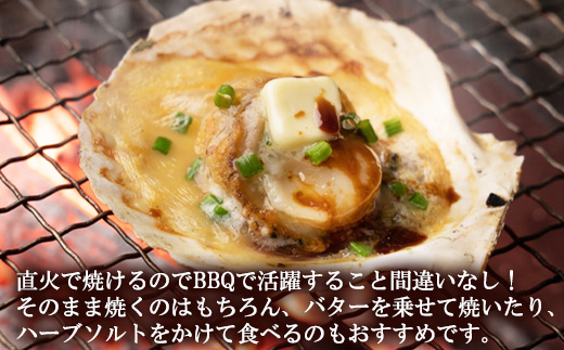 【北海道産】 ハーフシェル ほたて片貝 3袋 1.9kg (30枚前後) ウロ取り済み バラ冷凍 加熱調理用