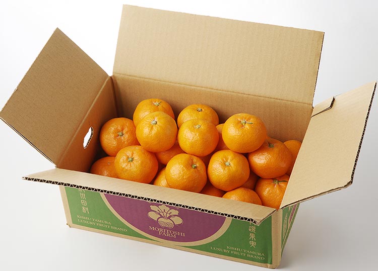 高級ブランド 秀品 紀州有田田村産みかん 3kg ※2025年12月上旬～2026年1月下旬頃に順次発送予定