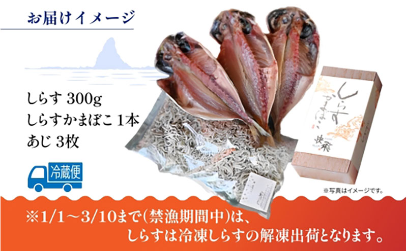 茅ヶ崎 しらす セット 生 新鮮 しらす 300g しらす かまぼこ 1本 あじ 3枚 とれたて 網元 船 茹で上げ ゆでる 天日干し 白 透明 湘南 相模湾 朝獲れ  食卓 干物しらす丼 ポン酢 卵 海 漁 湯切り おつまみ お酒 冷凍 神奈川県 茅ケ崎市