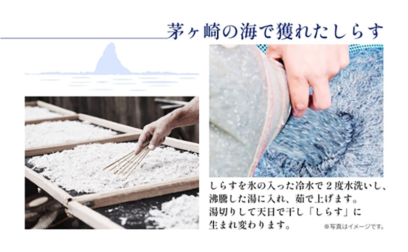 茅ヶ崎 しらす 干物 セット しらす  300g あじ 5枚 銀サケ 4枚 とれたて 網元 船 茹で上げ ゆでる 天日干し 白 透明 湘南 相模湾 朝獲れ  食卓 干物しらす丼 ポン酢 卵 海 漁 湯切り おつまみ お酒 冷凍 神奈川県 茅ケ崎市