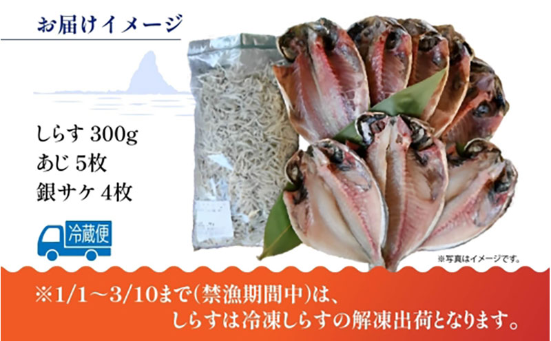 茅ヶ崎 しらす 干物 セット しらす  300g あじ 5枚 銀サケ 4枚 とれたて 網元 船 茹で上げ ゆでる 天日干し 白 透明 湘南 相模湾 朝獲れ  食卓 干物しらす丼 ポン酢 卵 海 漁 湯切り おつまみ お酒 冷凍 神奈川県 茅ケ崎市
