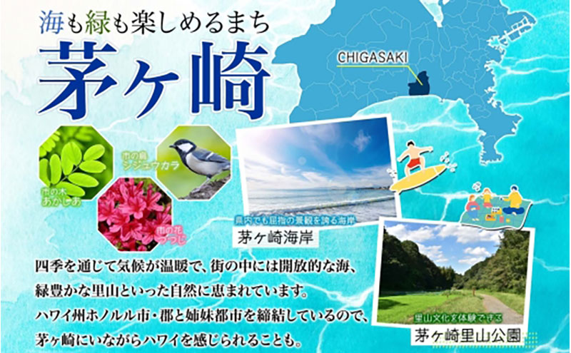 茅ヶ崎 しらす 干物 セット しらす  300g あじ 5枚 銀サケ 4枚 とれたて 網元 船 茹で上げ ゆでる 天日干し 白 透明 湘南 相模湾 朝獲れ  食卓 干物しらす丼 ポン酢 卵 海 漁 湯切り おつまみ お酒 冷凍 神奈川県 茅ケ崎市