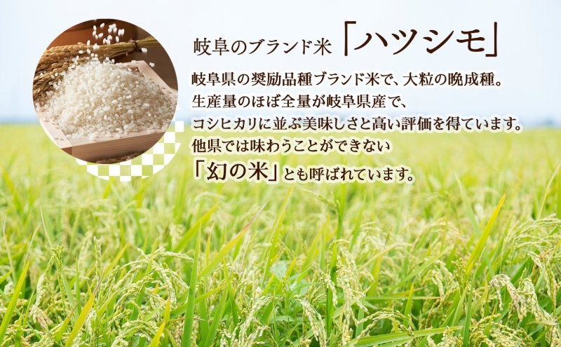 R7年産  特選米 ハツシモ 精米 10kg ×1袋 お米 米 白米 ごはん 新米 精白米 ご飯 はつしも 令和7年産 ブランド米 低農薬 お取り寄せ 産地直送 クリーンファームまき 送料無料 岐阜県 安八町