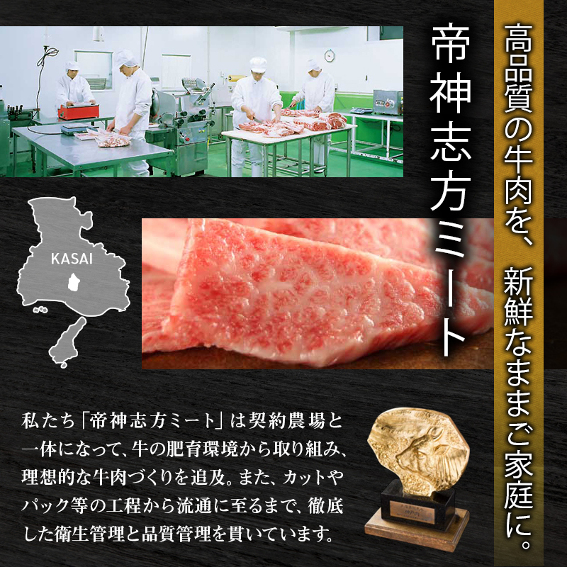 期間限定寄附額 神戸牛 福袋 帝神 おまかせコース F  サーロインステーキ 肩スライス 牛カルビ ももステーキ もも焼肉 バラ肉 すじ肉