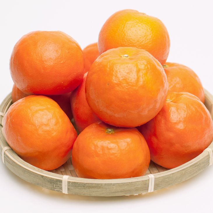 ＜4月より発送＞厳選 セミノールオレンジ7.5kg+250g（傷み補償分）◇【春みかん】【有田産】【光センサー食べ頃出荷】 ※北海道・沖縄・離島への配送不可 ※2026年4月上旬～5月下旬頃に順次発送予定