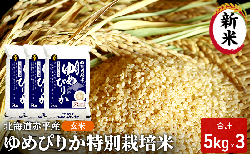 ykCԕsz kCԕY ߂҂肩 15kg (5kg×3) ʍ͔|  kC  ӂ邳Ɣ[