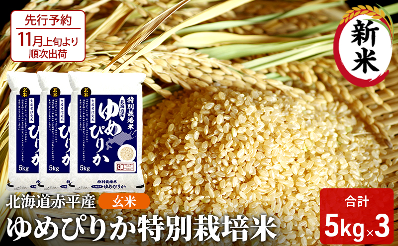 ykCԕsz kCԕY ߂҂肩 15kg (5kg×3) ʍ͔|  kC  ӂ邳Ɣ[