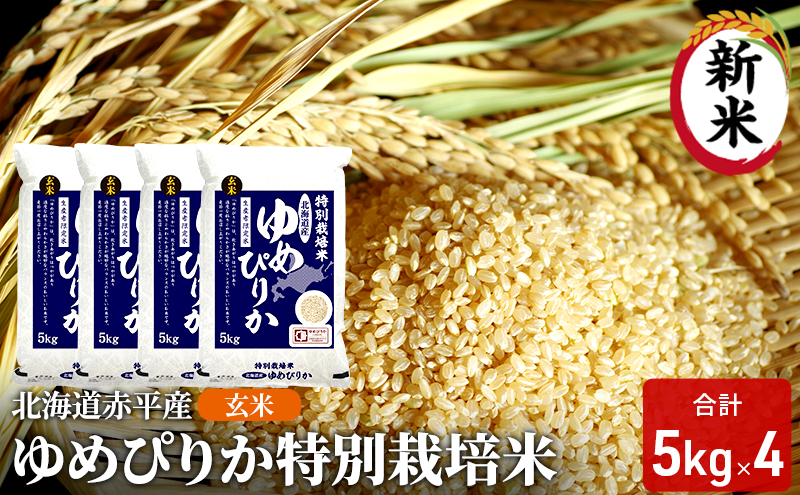 ykCԕsz kCԕY ߂҂肩 20kg (5kg×4) ʍ͔|  kC  ӂ邳Ɣ[