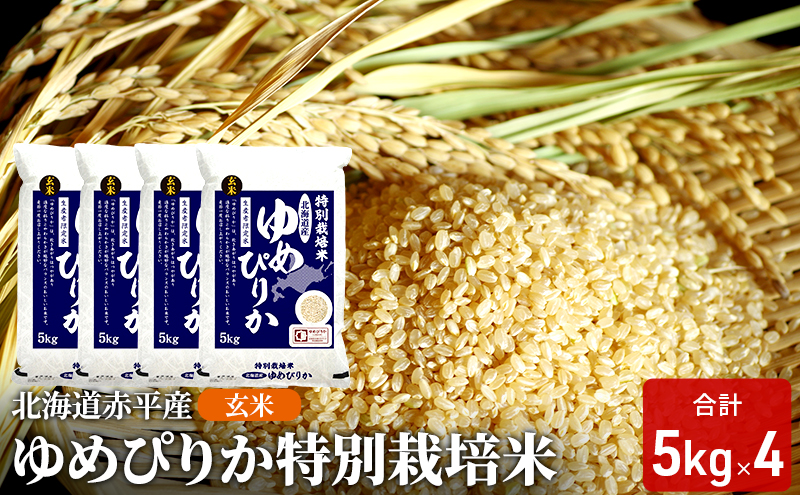 �y�k�C���ԕ��s�z���� �k�C���ԕ��Y ��߂҂肩 20kg (5kg×4��) ���ʍ͔|�� �� �k�C�� ���� �ӂ邳�Ɣ[��