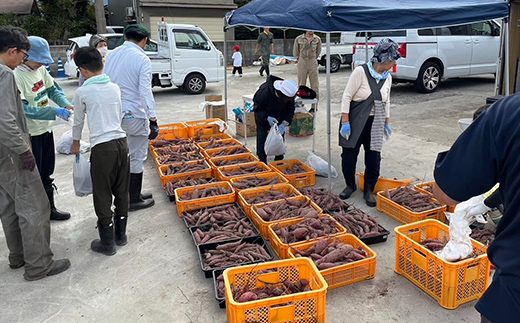 農アル（さつま芋の甘酒） あまざけ 酒 ノンアルコール さつまいも F6T-618