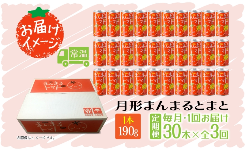 定期便 3ヶ月 北海道 トマトジュース 月形まんまるトマト 190g×30本 桃太郎 トマト 食塩不使用 食塩無添加 とまと 缶 無塩 ジュース ストレート 野菜ジュース 健康 完熟 ご褒美 プレゼント 送料無料 月形町