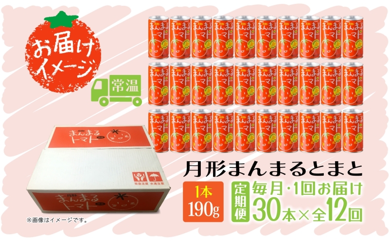 定期便 12ヶ月 北海道 トマトジュース 月形まんまるトマト 190g×30本 桃太郎 トマト 食塩不使用 食塩無添加 とまと 缶 無塩 ジュース ストレート 野菜ジュース 健康 完熟 ご褒美 プレゼント 送料無料 月形町 