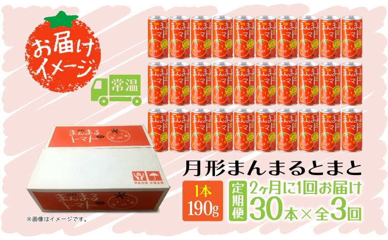 定期便 隔月3回 北海道 トマトジュース 月形まんまるトマト 190g×30本 桃太郎 トマト 食塩不使用 食塩無添加 とまと 缶 無塩 ジュース ストレート 野菜ジュース 健康 完熟 ご褒美 プレゼント 送料無料 月形町