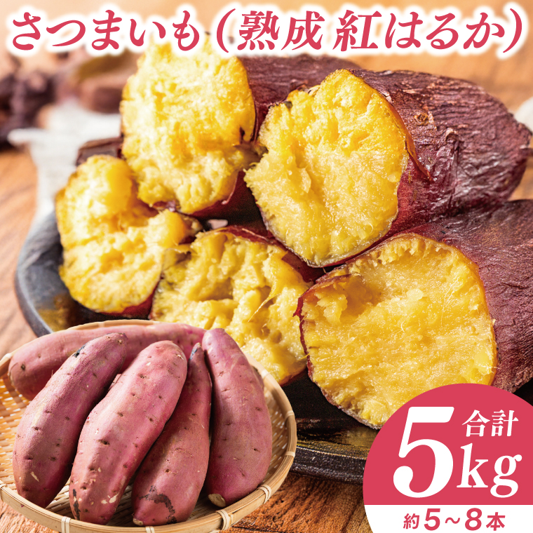 【先行予約】【訳あり 不揃い】完熟高糖度 さつまいも（紅はるか）約5kg（サイズ：2L～4L）【熟成 サツマイモ 焼き芋 キュアリング 茨城県 鹿嶋市産】【2025年12月～順次発送】（KDV-001）