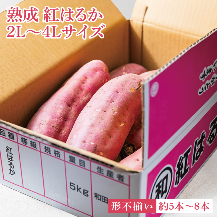 【先行予約】【訳あり 不揃い】完熟高糖度 さつまいも（紅はるか）約5kg（サイズ：2L～4L）【熟成 サツマイモ 焼き芋 キュアリング 茨城県 鹿嶋市産】【2025年12月～順次発送】（KDV-001）