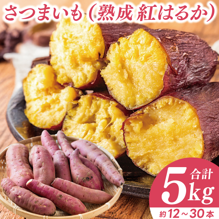 【先行予約】【訳あり 不揃い】完熟高糖度 さつまいも（紅はるか）約5kg（サイズ：2S～L）【熟成 サツマイモ 焼き芋 訳あり 訳あり キュアリング 茨城県 鹿嶋市産】【2025年12月～順次発送】（KDV-002）