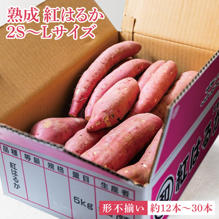 【先行予約】【訳あり 不揃い】完熟高糖度 さつまいも（紅はるか）約5kg（サイズ：2S～L）【熟成 サツマイモ 焼き芋 訳あり 訳あり キュアリング 茨城県 鹿嶋市産】【2025年12月～順次発送】（KDV-002）