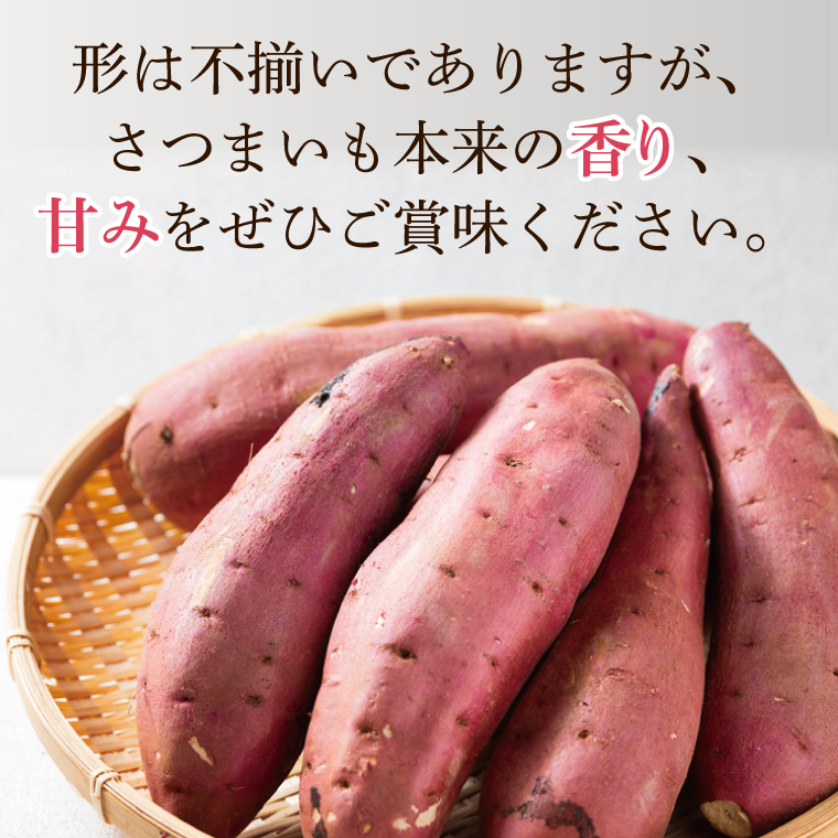 【先行予約】【訳あり 不揃い】完熟高糖度 さつまいも（紅はるか）約5kg（サイズ：2S～L）【熟成 サツマイモ 焼き芋 訳あり 訳あり キュアリング 茨城県 鹿嶋市産】【2025年12月～順次発送】（KDV-002）
