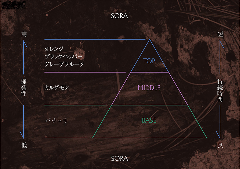 アロマディフューザー SORA 200ml アロマグッズ 生命力サポート 行動力サポート 柑橘 フレッシュ フルーツ精油 スパイス リフレッシュ感