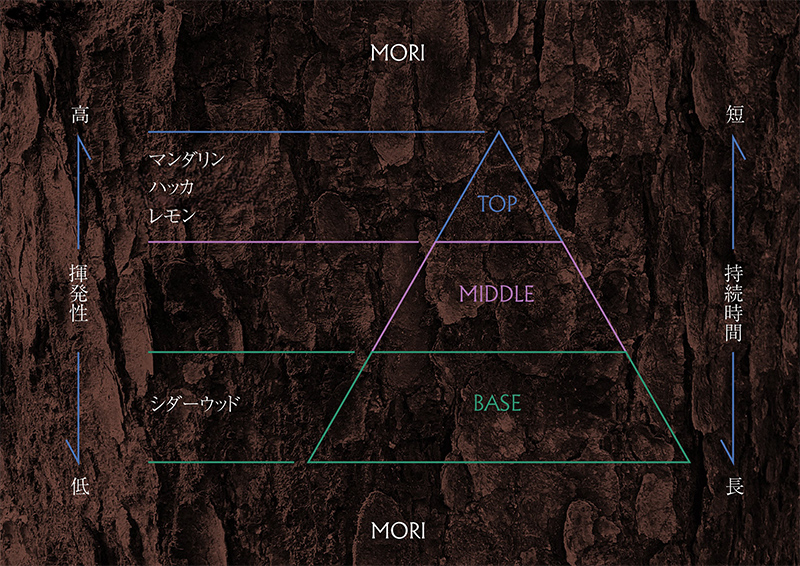 【3ヵ月連続お届け】アロマディフューザー MORI SORA TUKI 各200ml アロマグッズ ウッド系 柑橘 ハッカ 清涼感 フルーツ精油ブレンド スパイス リフレッシュ感 落ち着きサポート 安眠サポート ラベンダーベース