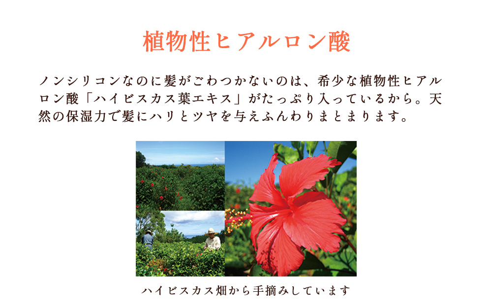 塩とハイビスカス「リュウミネシャンプー」×12本（1年分）
