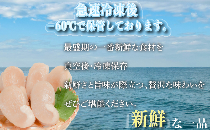 平貝 (タイラギ)130g以上×3個 冷凍 貝 魚貝類 魚貝 タイラガイ