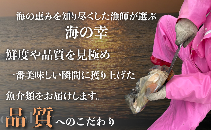 平貝 (タイラギ)130g以上×3個 冷凍 貝 魚貝類 魚貝 タイラガイ