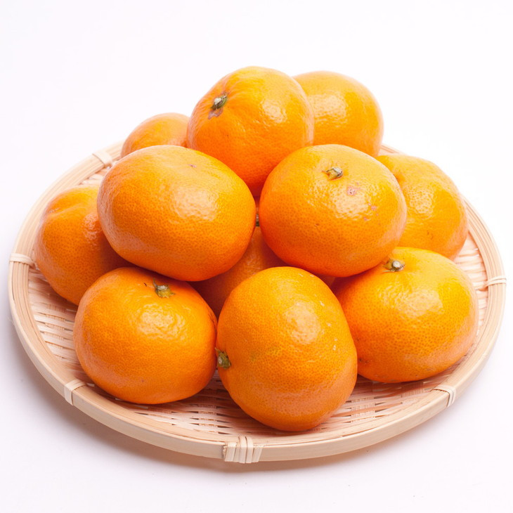 〈11月より発送〉完熟 プレミアム有田みかん 1kg+250g（傷み補償分） ｜ 柑橘 果物 フルーツ 糖度 甘い 濃厚 コク ジューシー 光センサー ※北海道・沖縄・離島への配送不可 ※2025年11月上旬～2026年1月下旬頃に順次発送予定