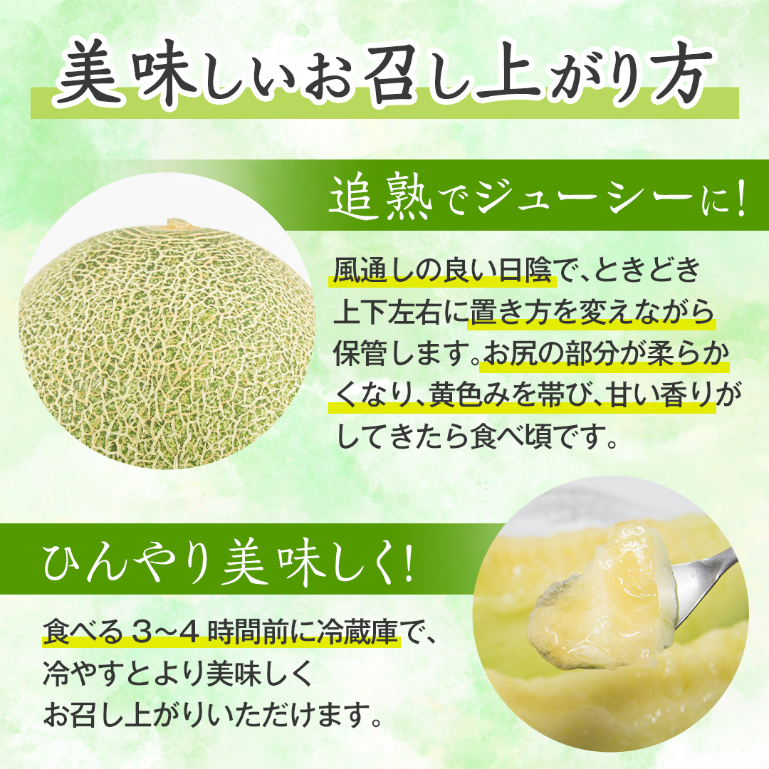茨城県八千代町のふるさと納税 【 先行予約 2026年6月上旬以降発送】 令和7年産 八千代町産 タカミメロン 秀品 4-6玉 約5.5kg 期間限定 産地直送 果物 フルーツ メロン 甘い 人気 タカミ 貴味 [AX041ya]