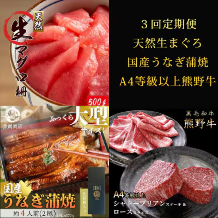 〈毎月定期便〉紀州和歌山うまいもんセットA(生まぐろ・うなぎ蒲焼・熊野牛)全3回 ※離島への配送不可