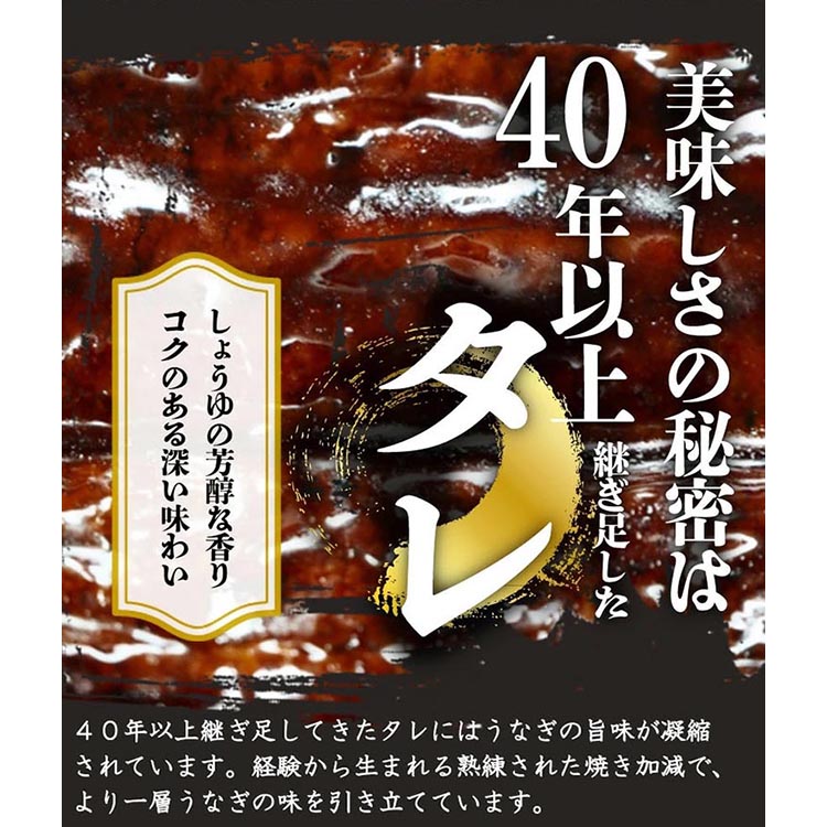 〈毎月定期便〉紀州和歌山うまいもんセットA(生まぐろ・うなぎ蒲焼・熊野牛)全3回 ※離島への配送不可