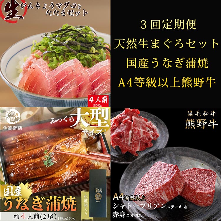 〈毎月定期便〉紀州和歌山うまいもんセットC(生まぐろ・うなぎ蒲焼・熊野牛)全3回 ※離島への配送不可