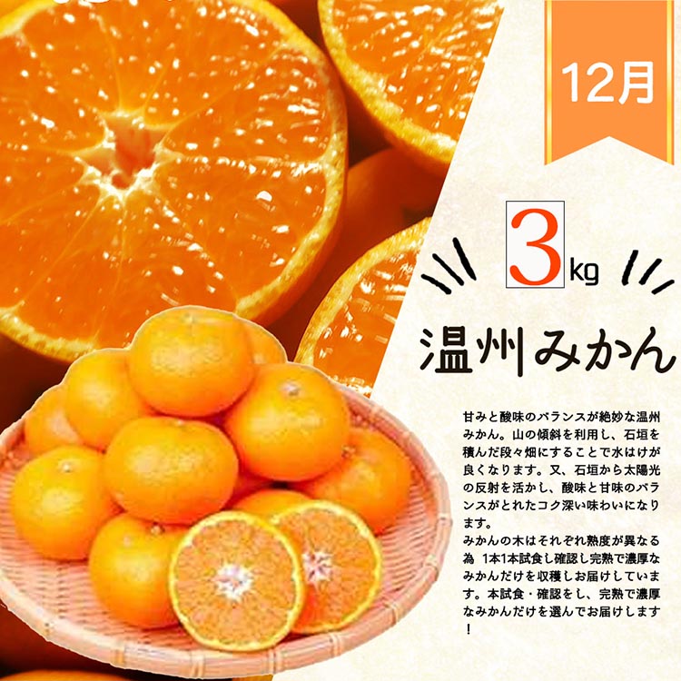 〈定期便〉【8・9・12月 全3回】紀州和歌山産旬のフルーツセット(種なし巨峰・シャイン・みかん) ※離島への配送不可