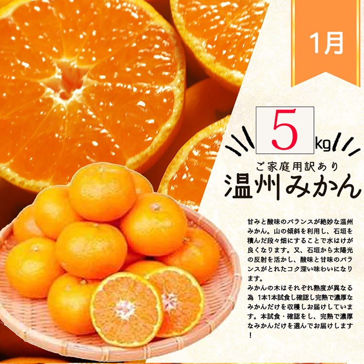 〈定期便〉【1・2・3・4月 全4回】紀州和歌山産旬のご家庭用柑橘セット(みかん・不知火・せとか・清見) ※離島への配送不可