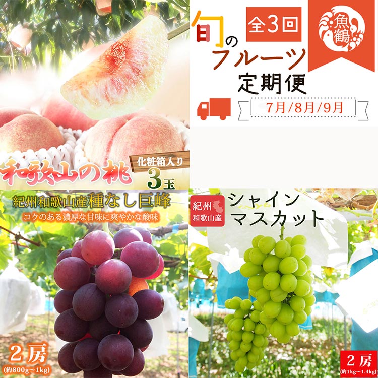 〈定期便〉【7・8・9月 全3回】紀州和歌山産旬のフルーツセット（桃・種なし巨峰・シャインマスカット）※離島への配送不可