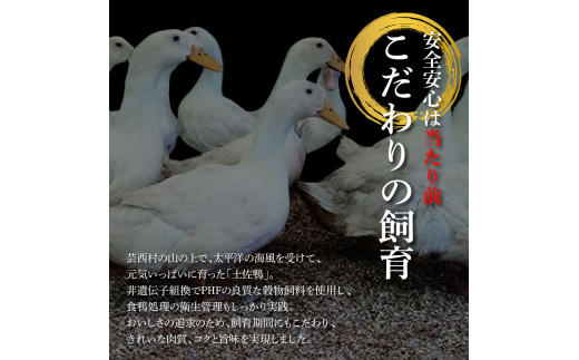 土佐鴨ロース・モモ肉 約1.8kg 鴨肉 国産 カモ肉 かも カモ ロース もも肉 1.8キロ ブロック 鴨鍋 焼肉 唐揚げ 食品 鶏肉 おいしい 惣菜 おかず お取り寄せ
