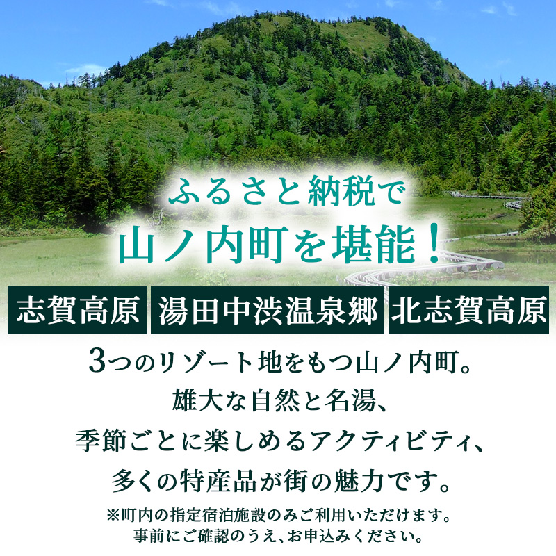 山ノ内町内宿泊補助券（30枚）1年間有効 150,000円分 旅行 宿泊券 ホテル 旅館 チケット 宿泊 補助券 志賀高原 湯田中渋温泉郷 北志賀高原 地獄谷野猿公苑  温泉 ギフト 自然 観光 長野県 信州 冬 スキー