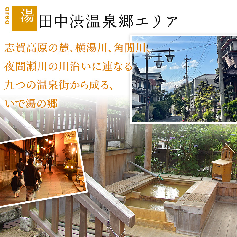 山ノ内町内宿泊補助券（30枚）1年間有効 150,000円分 旅行 宿泊券 ホテル 旅館 チケット 宿泊 補助券 志賀高原 湯田中渋温泉郷 北志賀高原 地獄谷野猿公苑  温泉 ギフト 自然 観光 長野県 信州 冬 スキー