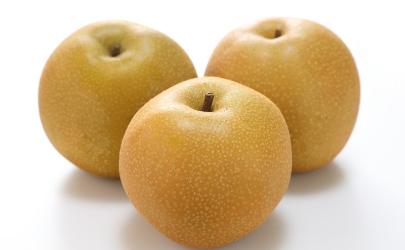 梨 2026年 先行予約 あたご梨 約4kg 3～6玉入り  なし ナシ  岡山県産 国産 フルーツ 果物 ギフト 和梨 デザート 食後 日本一の大きさ 大玉 シャリシャリ