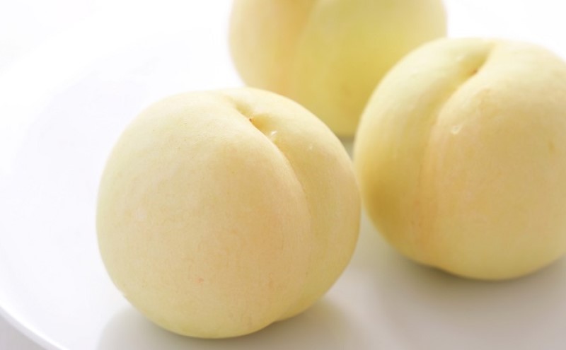 桃 2026年 先行予約 岡山 白桃 6玉 約1.5kg 等級：ロイヤル（1玉 240g以上） もも モモ 岡山県産 国産 フルーツ 果物 ギフト デザート 岡山の桃