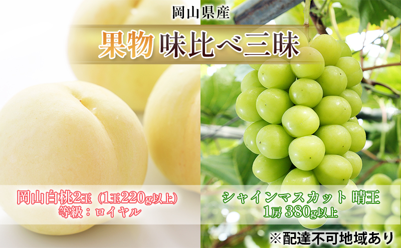 yRsz Ԃǂ 2026N s\ ʕ ׎O R  2 FCi1220gȏj VC }XJbg  1[ 380gȏ l   RY Y t[c ʕ Mtg Hה