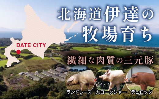 北海道伊達市のふるさと納税 伊達黄金豚しゃぶしゃぶ4種食べ比べセット400g