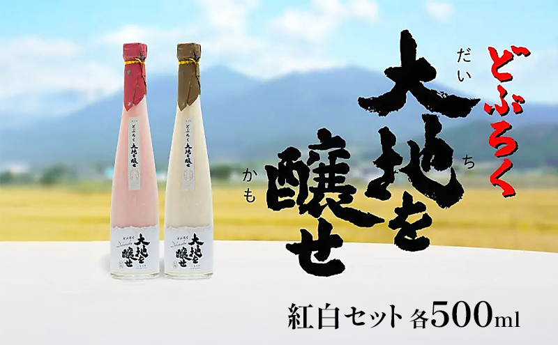 SORACHI 1984 ≪ソラチ1984≫1箱（350ml×12缶） 吉澤商店 北海道 上