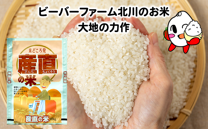 ななつぼし 米 10kg 精米 令和6年産 北海道産 お米 こめ 白米