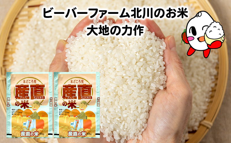 北海道産 ななつぼし 白米 20kg