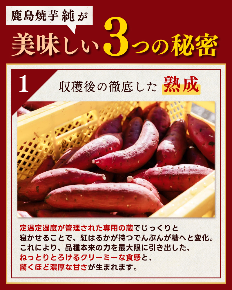 ★令和7年産 新芋★【人気返礼品】鹿島焼芋 純 3kg （1.5kg×2箱）【冷蔵 冷やし 焼き芋 やきいも さつまいも 芋 お菓子 おやつ デザート スイーツ 和菓子 和スイーツ 鹿嶋市 茨城県】（KBK-13-2）