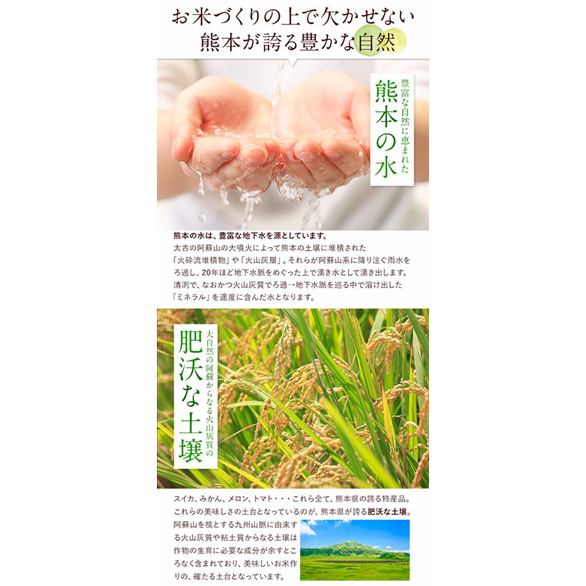 熊本県御船町のふるさと納税 無洗米 訳あり 家庭用 熊本ふるさと 無洗 米 選べる内容量 5kg 10kg 15kg 20kg 無洗米 米 コメ 熊本県産《10月中旬-12月末頃出荷》 洗わず コロナ おうちご飯 お米 おこめ 送料無料 熊本 御船 ライス SDGs ふるさと無洗米
