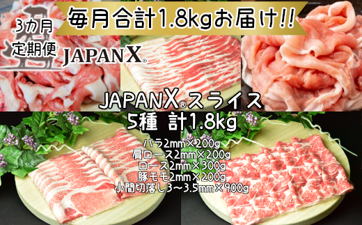 【定期便3か月】JAPAN X5種スライス